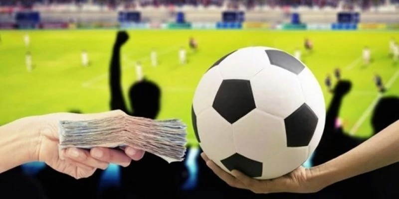 Cá Độ Bóng Đá Online - Những Mẹo Chơi Giúp An Toàn, Thắng Chắc